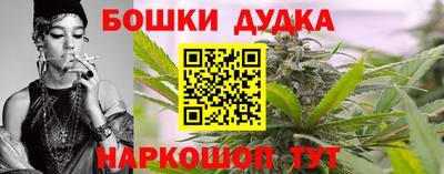 шишки Сланцы