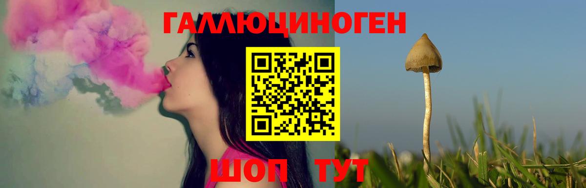 Псилоцибиновые грибы Psilocybine cubensis  Вход с VPN  Галлюциногенные грибы мухоморы  Рузаевка 
